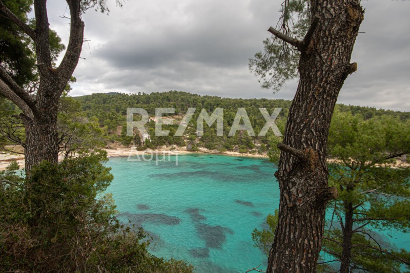 Αγροτεμάχια 4.877 τ.μ. προς πώληση, Χρυσή Μηλιά