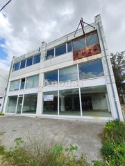 Επιχειρηματικό κτίριο 1.876 τ.μ. για πώληση