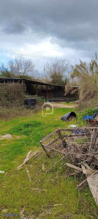Οικόπεδο 5.062 τ.μ. προς ενοικίαση, Αχίλλειο Κέρκυρας