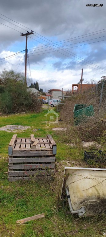 Οικόπεδο 5.062 τ.μ. προς ενοικίαση, Αχίλλειο Κέρκυρας