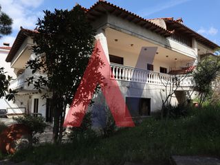 Βίλλα 319 τ.μ. για πώληση