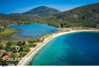 Αγροτεμάχια 31.000 τ.μ. πρός πώληση, Χαλκιδική, Τορώνη-thumb-1