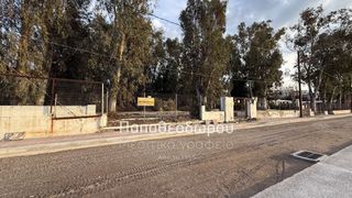Κατάστημα 165 τ.μ. για ενοικίαση, Αχαΐα, Ρίο-thumb-1