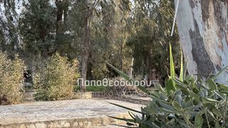 Κατάστημα 165 τ.μ. για ενοικίαση, Αχαΐα, Ρίο-thumb-8