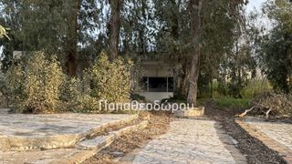 Κατάστημα 165 τ.μ. για ενοικίαση, Αχαΐα, Ρίο-thumb-6
