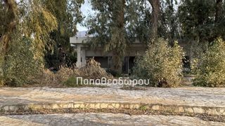 Κατάστημα 165 τ.μ. για ενοικίαση, Αχαΐα, Ρίο-thumb-7