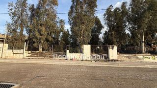 Κατάστημα 165 τ.μ. για ενοικίαση, Αχαΐα, Ρίο-thumb-4