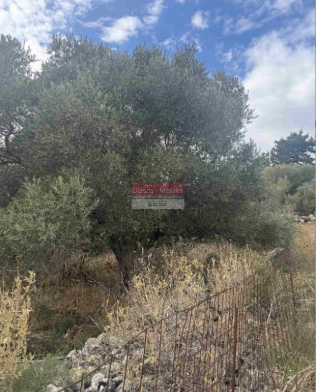 Αγροτεμάχια 12.000 τ.μ. πρός πώληση, Ν. Χανίων, Βάμος