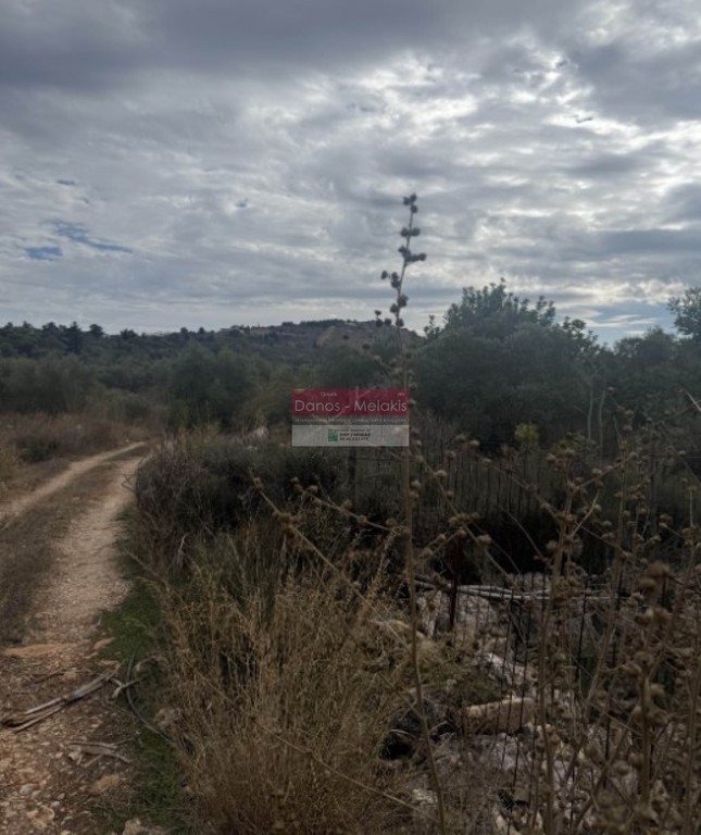 Αγροτεμάχια 12.000 τ.μ. πρός πώληση, Ν. Χανίων, Βάμος