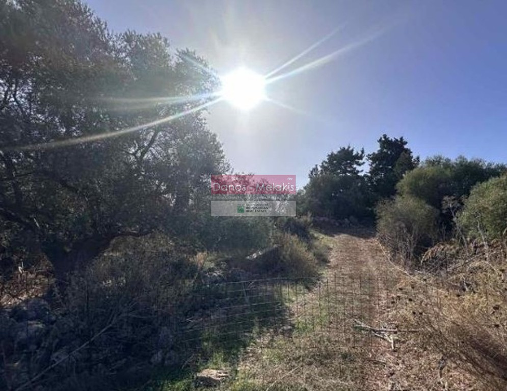 Αγροτεμάχια 12.000 τ.μ. πρός πώληση, Ν. Χανίων, Βάμος