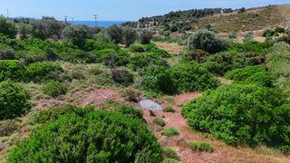 Οικόπεδο 604 τ.μ. προς πώληση, Πετροθάλασσα-thumb-28