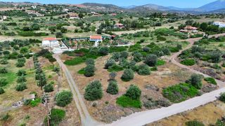 Οικόπεδο 604 τ.μ. προς πώληση, Πετροθάλασσα-thumb-25