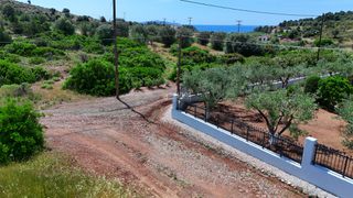 Οικόπεδο 604 τ.μ. προς πώληση, Πετροθάλασσα-thumb-1