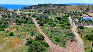 Οικόπεδο 604 τ.μ. προς πώληση, Πετροθάλασσα-thumb-26
