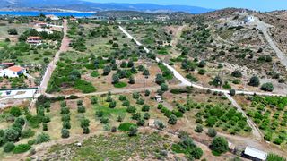 Οικόπεδο 604 τ.μ. προς πώληση, Πετροθάλασσα-thumb-6