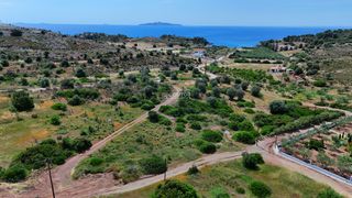 Οικόπεδο 604 τ.μ. προς πώληση, Πετροθάλασσα-thumb-21