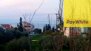 Οικόπεδο 1.253 τ.μ. για πώληση