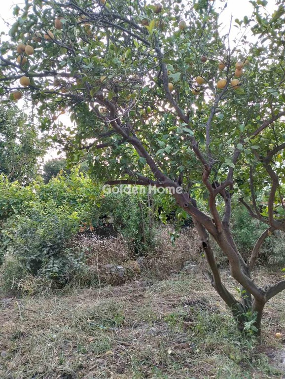 Οικόπεδο 133 τ.μ. προς πώληση, Οίτυλο