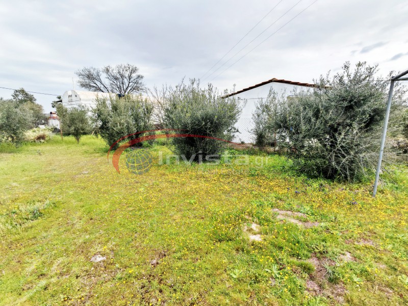 Αγροτεμάχια 700 τ.μ. προς πώληση, Νέα Καλλικράτεια