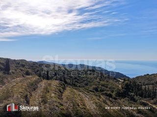 Αγροτεμάχια 6.591,44 τ.μ. για πώληση, Ν. Λευκάδας, Λευκάδα-thumb-11