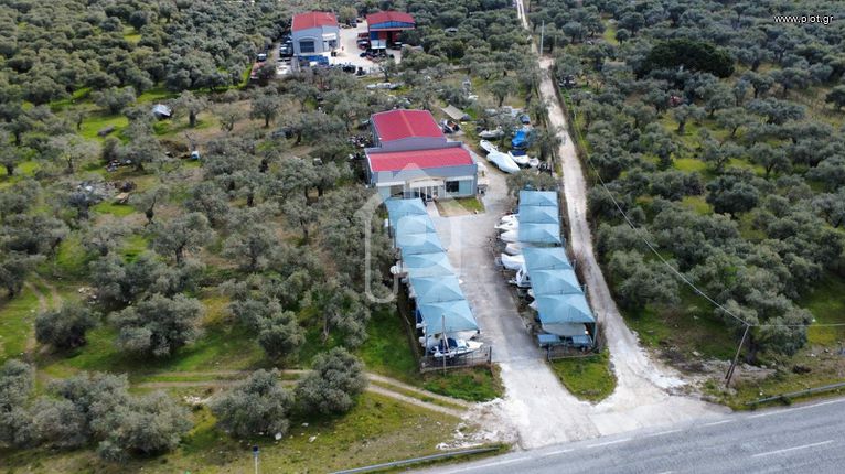 Επιχειρηματικό κτίριο 300 τ.μ. για ενοικίαση, Ν. Καβάλας, Θάσος