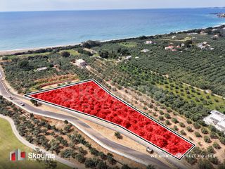 Αγροτεμάχια 6.095 τ.μ. για πώληση