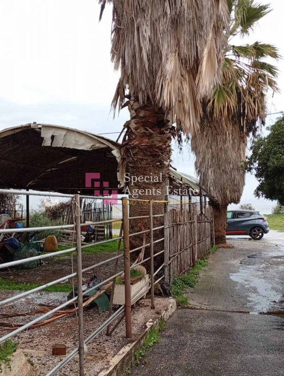 Οικόπεδο 731 τ.μ. προς πώληση, Αγία Τριάδα Θερμαϊκού