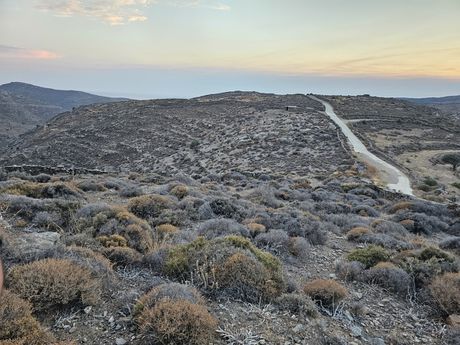 Αγροτεμάχια 106.580 τ.μ. πρός πώληση