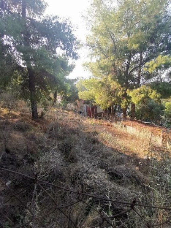 Οικόπεδο 248 τ.μ. πρός πώληση, Νησιά Αργοσαρωνικού, Σαλαμίνα
