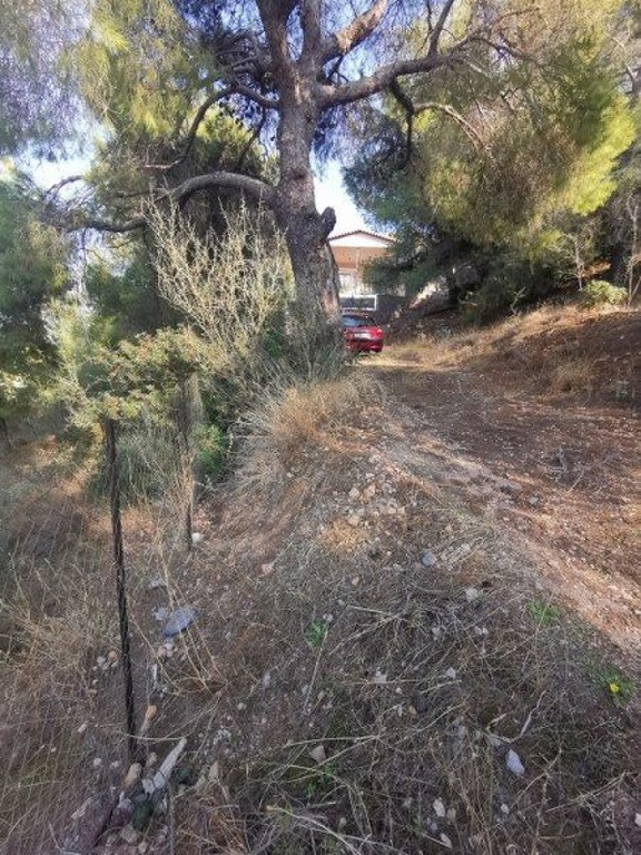 Οικόπεδο 248 τ.μ. πρός πώληση, Νησιά Αργοσαρωνικού, Σαλαμίνα