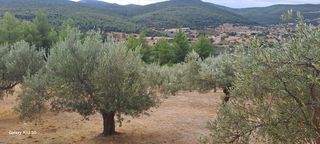 Αγροτεμάχια 4.457 τ.μ. για πώληση, Κορινθία, Σολύγεια-thumb-7