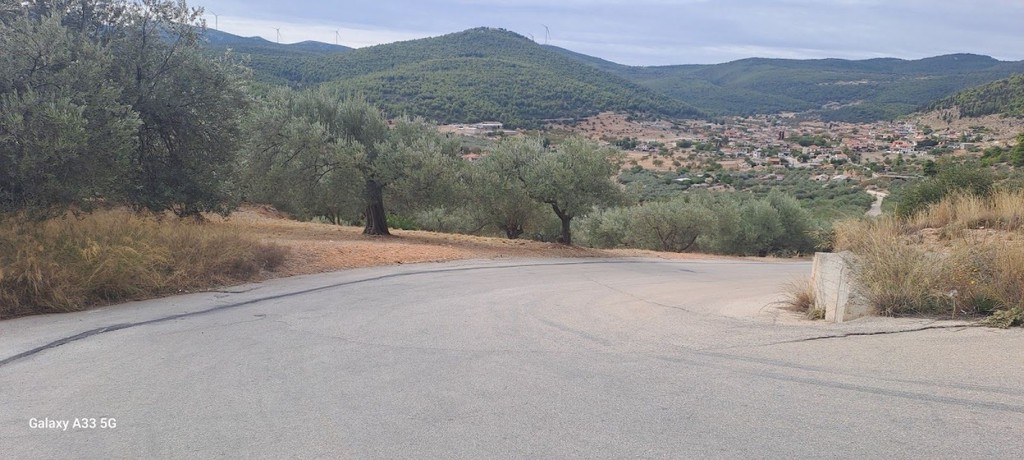 Αγροτεμάχια 4.457 τ.μ. πρός πώληση, Κορινθία, Σολύγεια