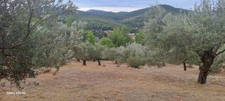 Αγροτεμάχια 4.457 τ.μ. για πώληση, Κορινθία, Σολύγεια-thumb-9