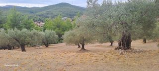 Αγροτεμάχια 4.457 τ.μ. για πώληση, Κορινθία, Σολύγεια-thumb-10