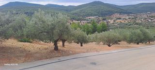 Αγροτεμάχια 4.457 τ.μ. για πώληση, Κορινθία, Σολύγεια-thumb-5