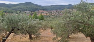 Αγροτεμάχια 4.457 τ.μ. για πώληση, Κορινθία, Σολύγεια-thumb-6