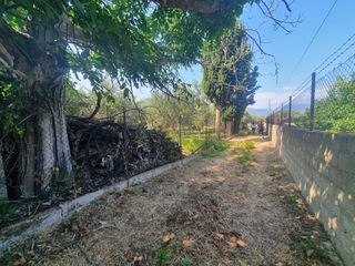 Land plot 2.430 sqm for sale, Achaia, Erineo-thumb-7