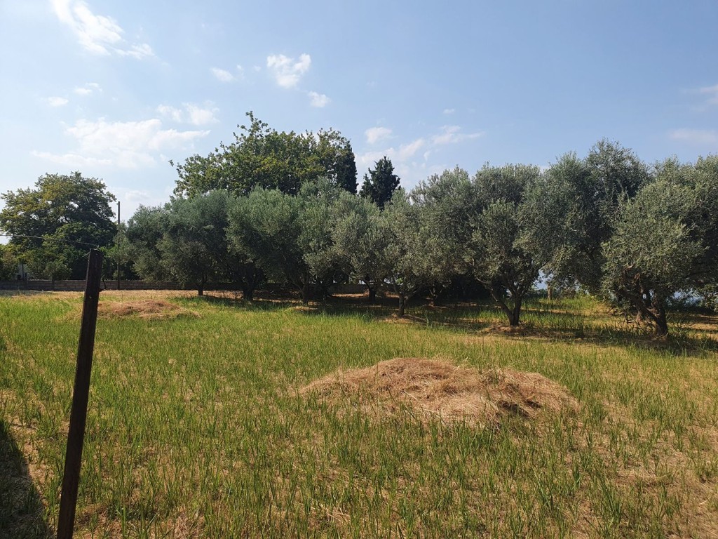 Οικόπεδο 2.430 τ.μ. πρός πώληση, Αχαΐα, Ερίνεο