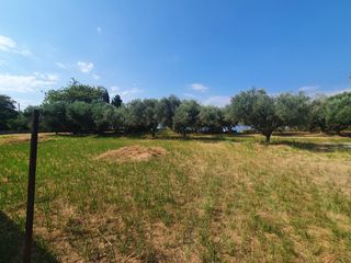 Land plot 2.430 sqm for sale, Achaia, Erineo-thumb-1