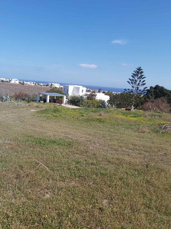 Αγροτεμάχια 4.079 τ.μ. προς πώληση, Θήρα