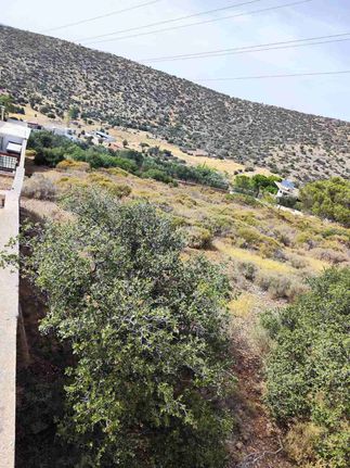 Parcel 864 sqm for sale, Athens - East, Koropi
