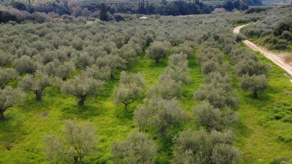 Αγροτεμάχια 17.883 τ.μ. πρός πώληση, Μεσσηνία, Γαργαλιάνοι