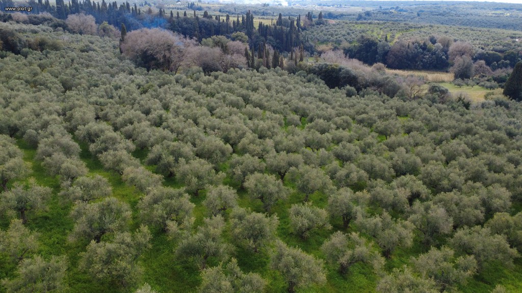 Αγροτεμάχια 17.883 τ.μ. πρός πώληση, Μεσσηνία, Γαργαλιάνοι