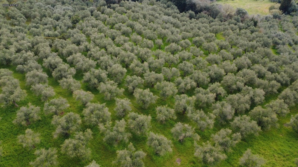 Αγροτεμάχια 17.883 τ.μ. πρός πώληση, Μεσσηνία, Γαργαλιάνοι