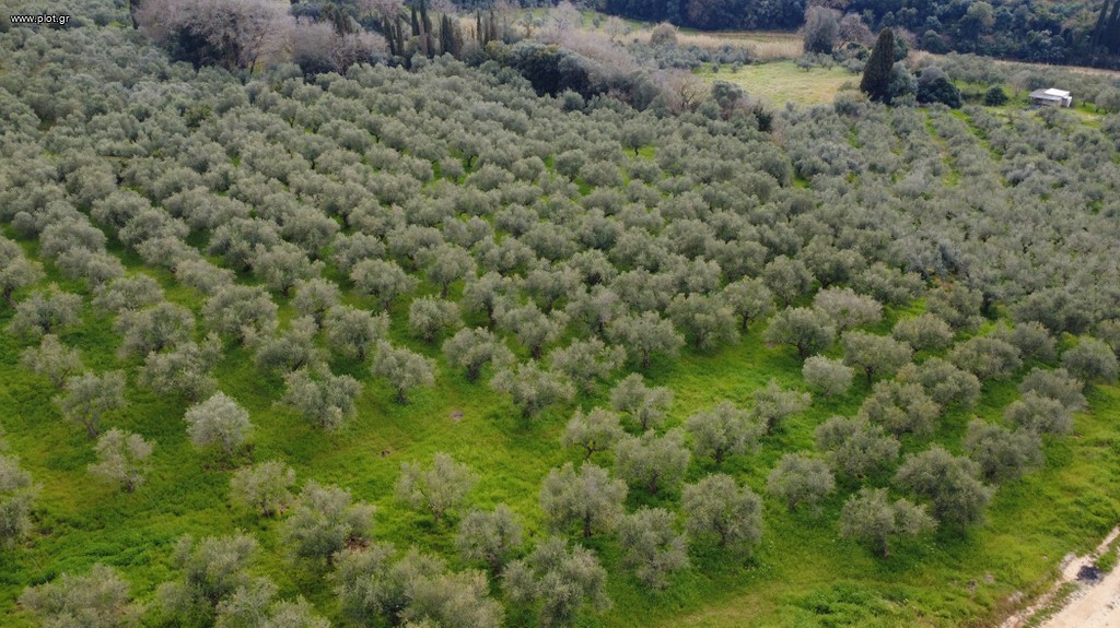Αγροτεμάχια 17.883 τ.μ. πρός πώληση, Μεσσηνία, Γαργαλιάνοι
