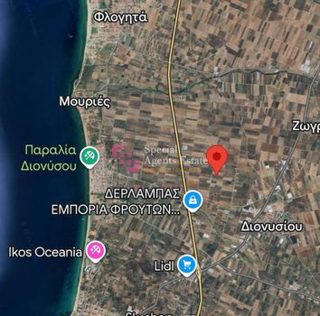 Αγροτεμάχια 4.800 τ.μ. πρός πώληση