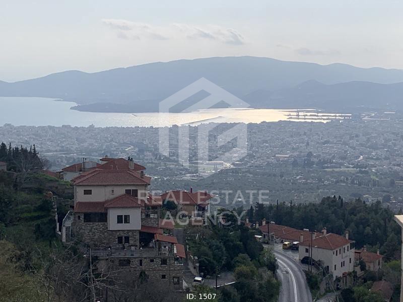 Μονοκατοικία 300 τ.μ. πρός πώληση, Μαγνησία, Ιωλκός