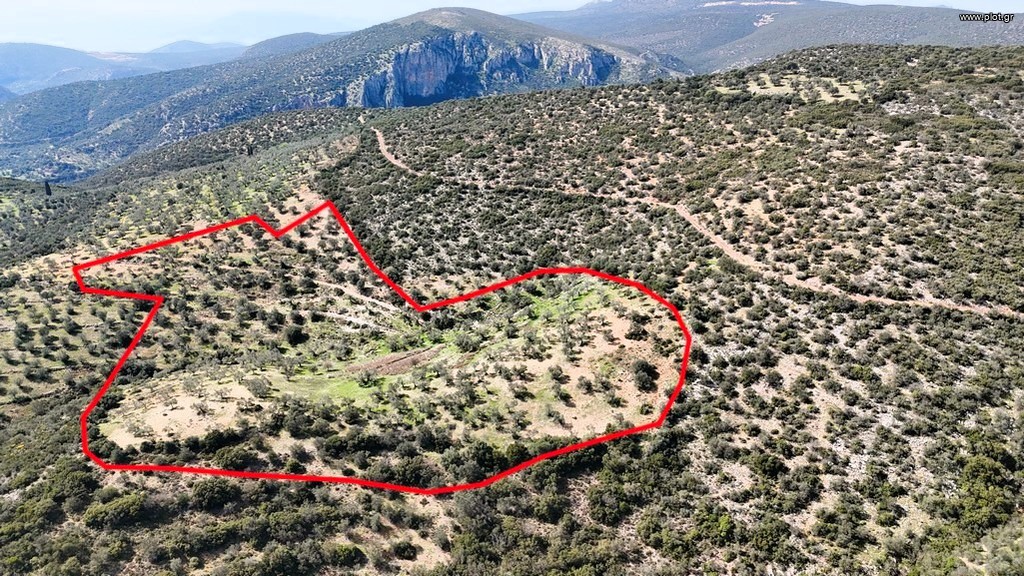 Αγροτεμάχια 42.233 τ.μ. προς πώληση, Χάνι Μερκούρη
