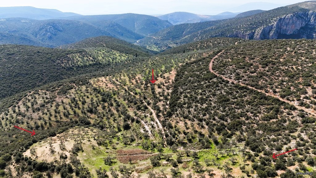 Αγροτεμάχια 42.233 τ.μ. προς πώληση, Χάνι Μερκούρη