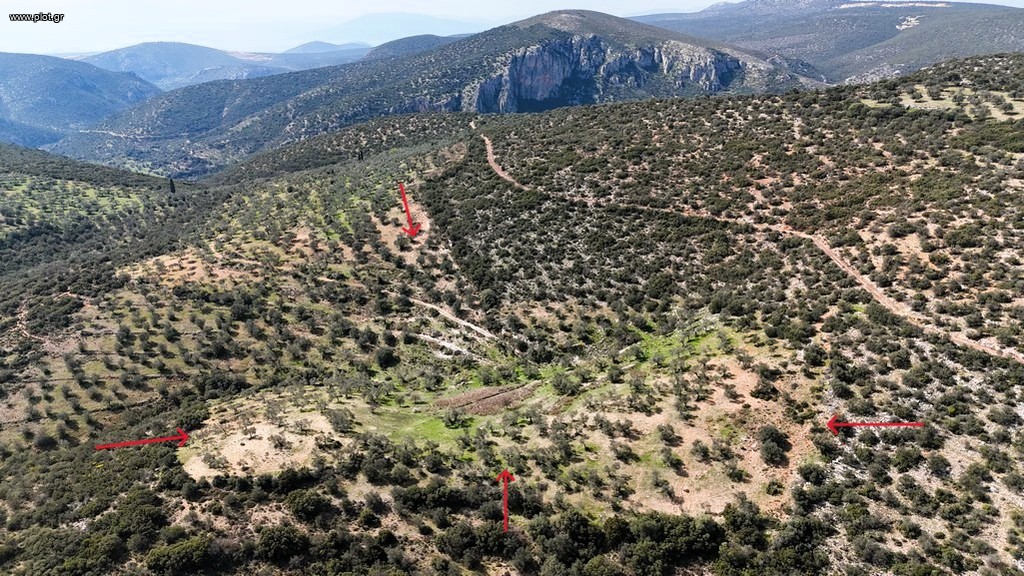 Αγροτεμάχια 42.233 τ.μ. προς πώληση, Χάνι Μερκούρη